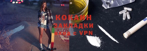 дмт Няндома