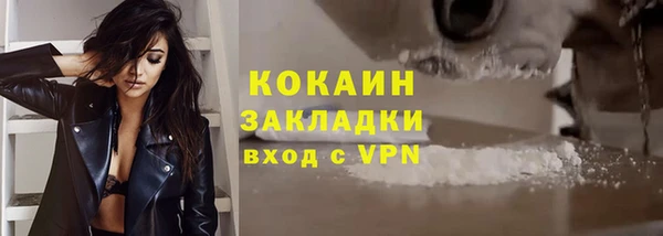 дмт Няндома