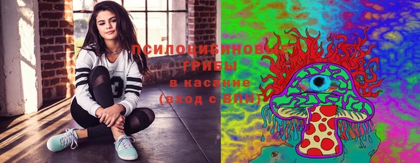 ГАЛЛЮЦИНОГЕННЫЕ ГРИБЫ Нязепетровск