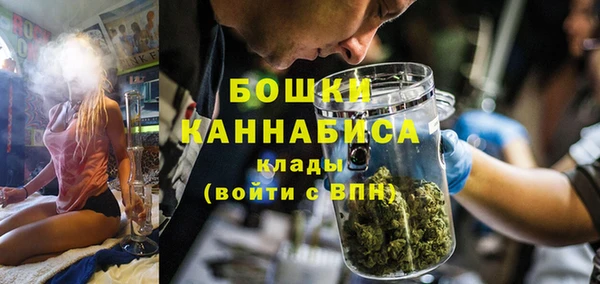 ГАЛЛЮЦИНОГЕННЫЕ ГРИБЫ Нязепетровск