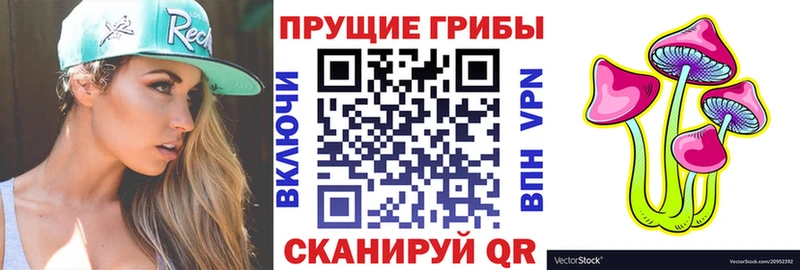 как найти   гидра ссылки  Галлюциногенные грибы Psilocybine cubensis  Бугуруслан 